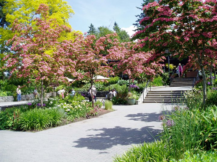 VanDusen Botanical Garden